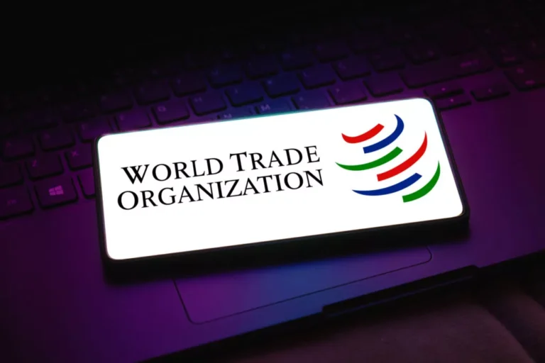 Consensus Collapses: WTO Meet Signals Fragmentation in Digital Trade Rules